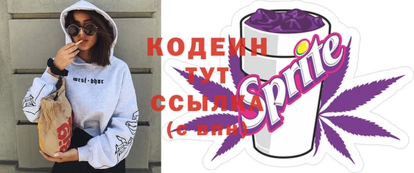 хмурый Арсеньев