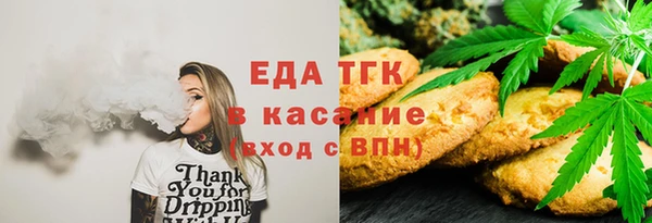 хмурый Арсеньев