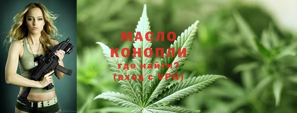 хмурый Арсеньев