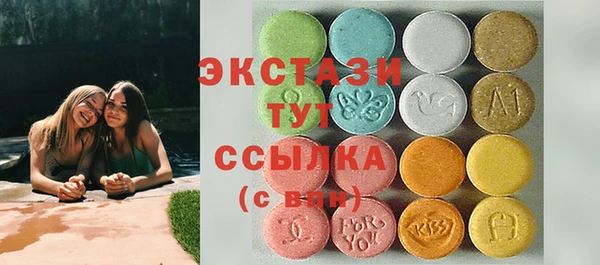 хмурый Арсеньев