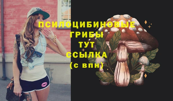 гашик Армянск