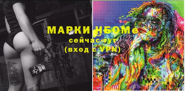 хмурый Арсеньев