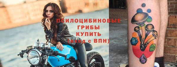 хмурый Арсеньев